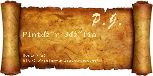 Pintér Júlia névjegykártya